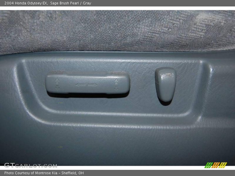 Sage Brush Pearl / Gray 2004 Honda Odyssey EX