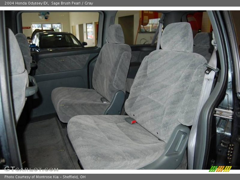 Sage Brush Pearl / Gray 2004 Honda Odyssey EX