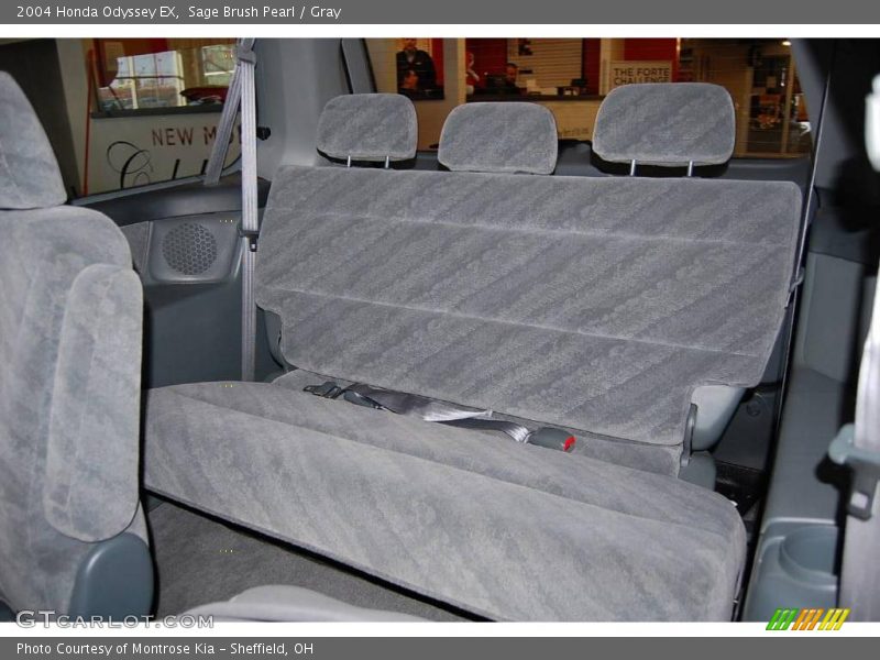 Sage Brush Pearl / Gray 2004 Honda Odyssey EX