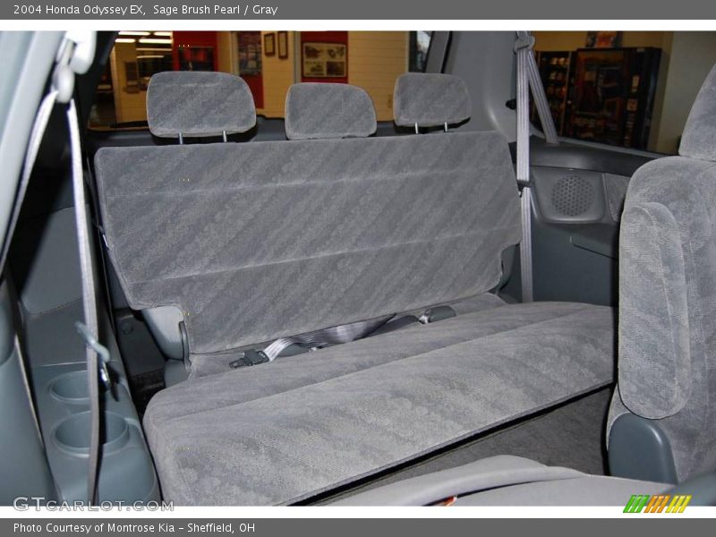 Sage Brush Pearl / Gray 2004 Honda Odyssey EX