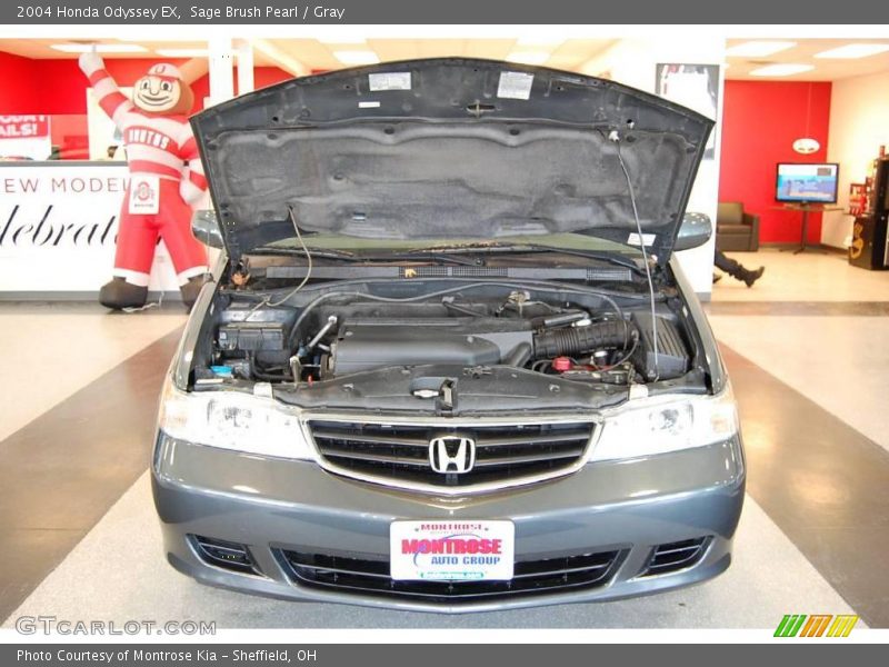 Sage Brush Pearl / Gray 2004 Honda Odyssey EX