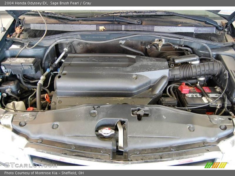 Sage Brush Pearl / Gray 2004 Honda Odyssey EX