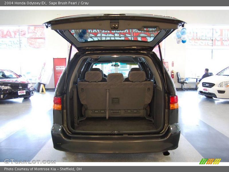 Sage Brush Pearl / Gray 2004 Honda Odyssey EX