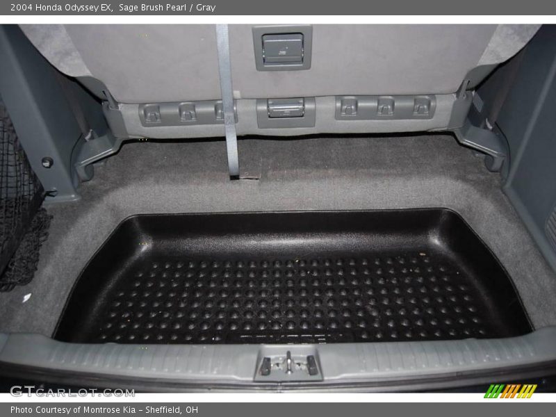 Sage Brush Pearl / Gray 2004 Honda Odyssey EX