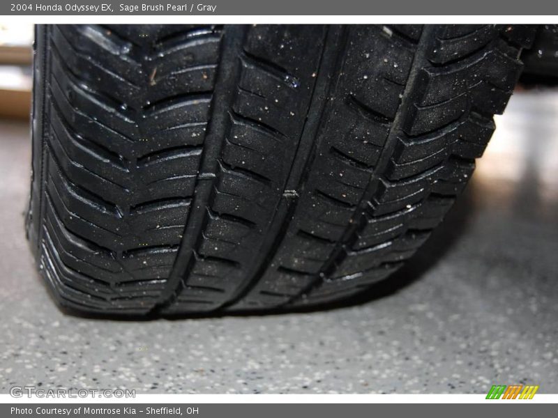 Sage Brush Pearl / Gray 2004 Honda Odyssey EX