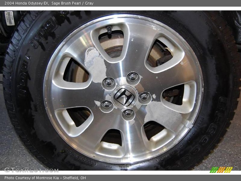Sage Brush Pearl / Gray 2004 Honda Odyssey EX