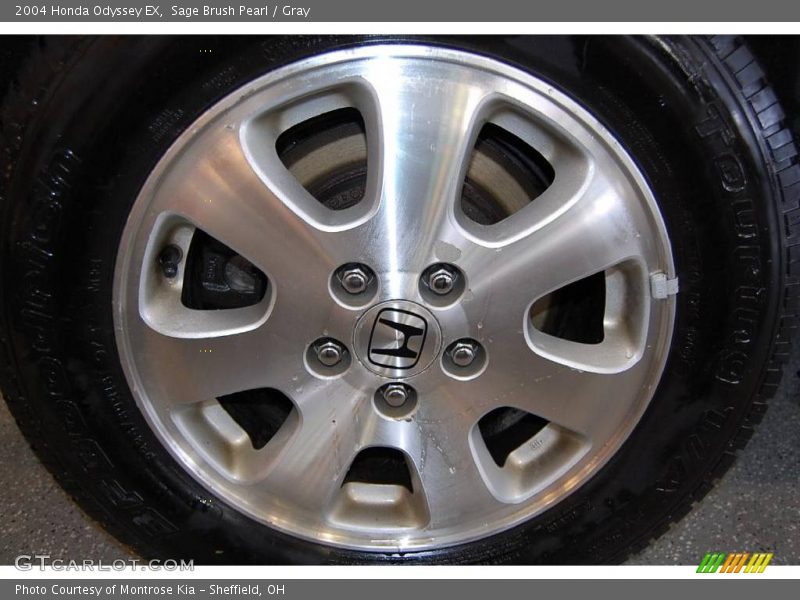 Sage Brush Pearl / Gray 2004 Honda Odyssey EX