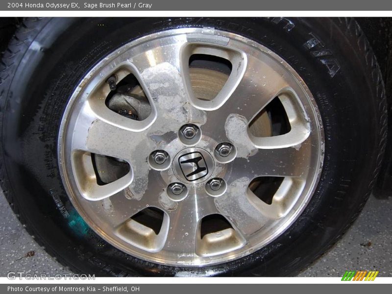 Sage Brush Pearl / Gray 2004 Honda Odyssey EX