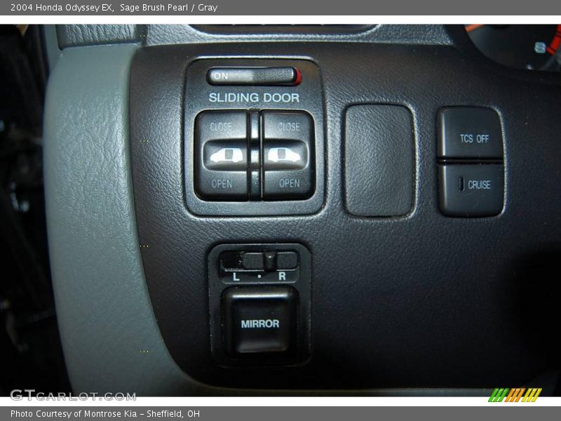 Sage Brush Pearl / Gray 2004 Honda Odyssey EX