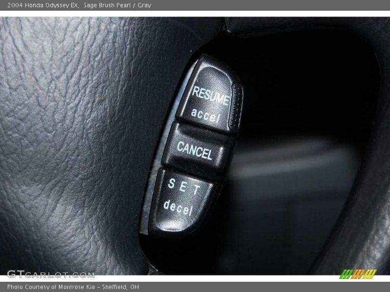 Sage Brush Pearl / Gray 2004 Honda Odyssey EX