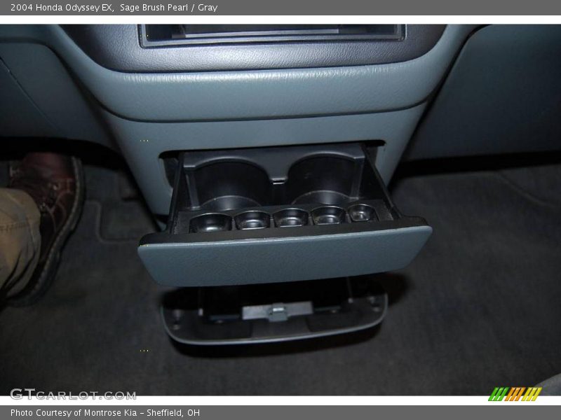 Sage Brush Pearl / Gray 2004 Honda Odyssey EX