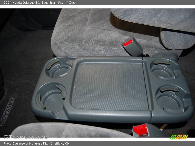 Sage Brush Pearl / Gray 2004 Honda Odyssey EX