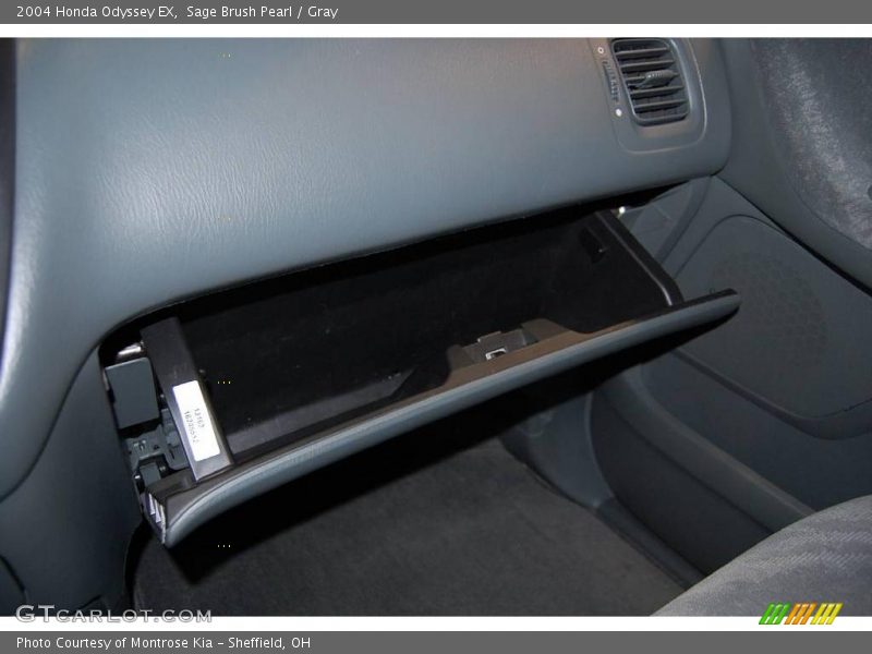 Sage Brush Pearl / Gray 2004 Honda Odyssey EX
