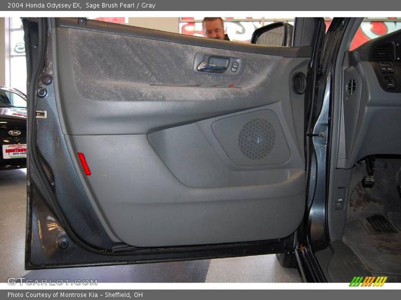 Sage Brush Pearl / Gray 2004 Honda Odyssey EX