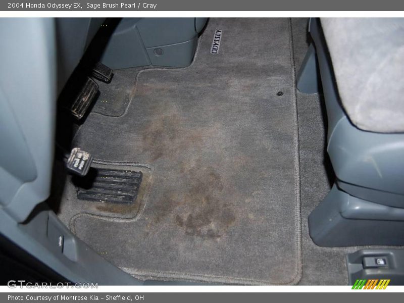 Sage Brush Pearl / Gray 2004 Honda Odyssey EX