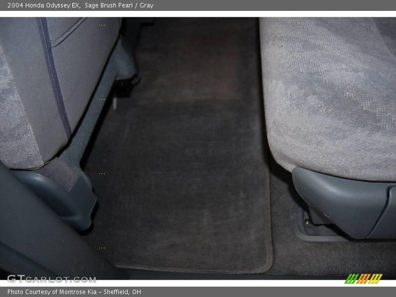 Sage Brush Pearl / Gray 2004 Honda Odyssey EX