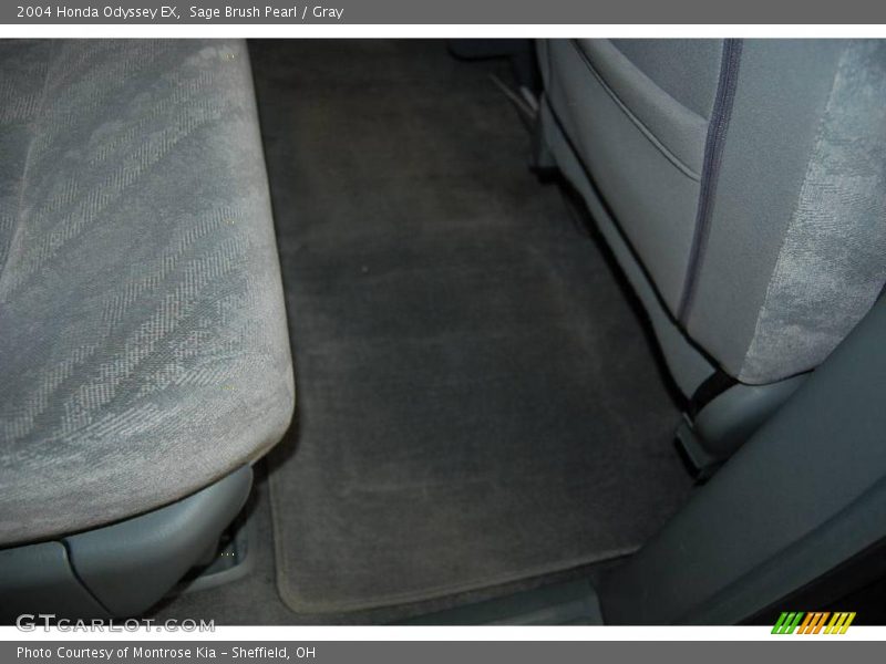 Sage Brush Pearl / Gray 2004 Honda Odyssey EX