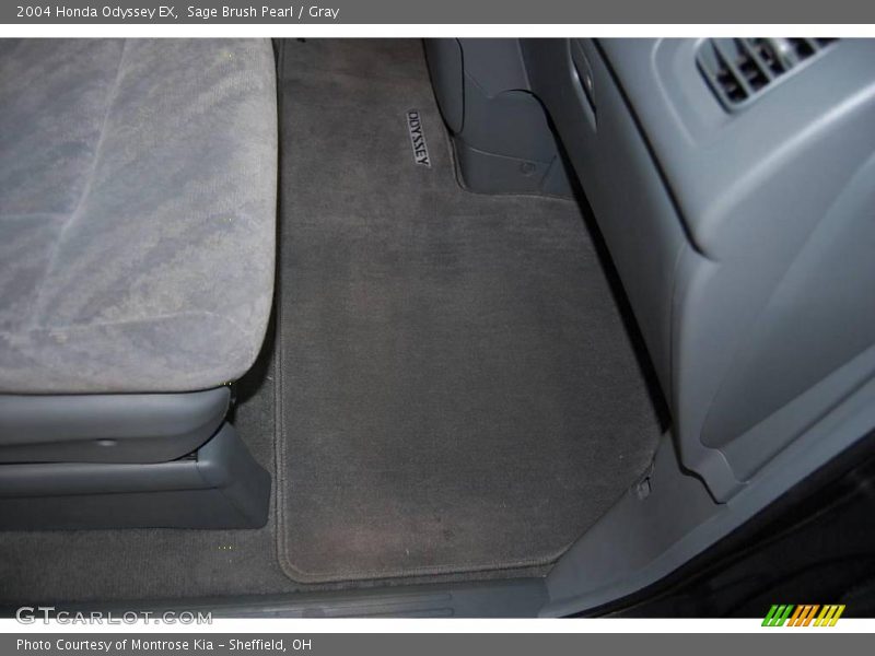 Sage Brush Pearl / Gray 2004 Honda Odyssey EX