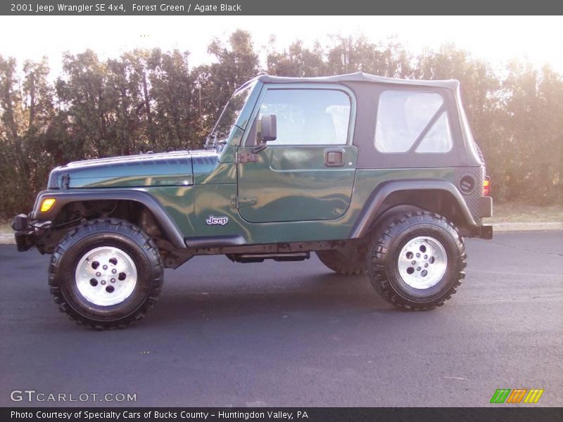 Forest Green / Agate Black 2001 Jeep Wrangler SE 4x4
