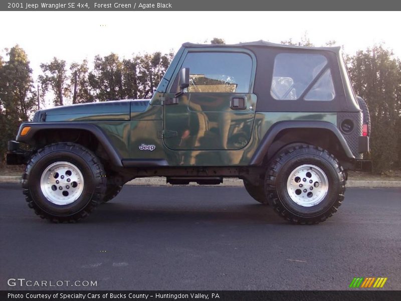 Forest Green / Agate Black 2001 Jeep Wrangler SE 4x4