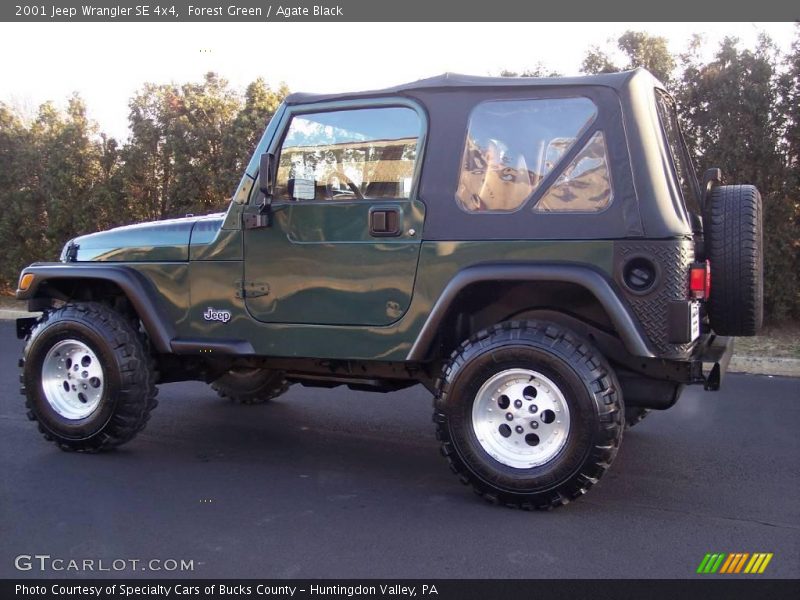 Forest Green / Agate Black 2001 Jeep Wrangler SE 4x4