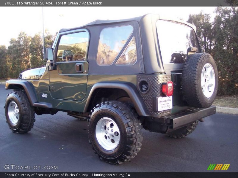 Forest Green / Agate Black 2001 Jeep Wrangler SE 4x4