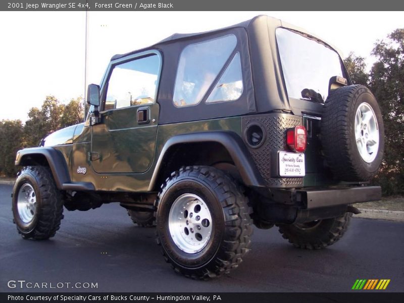 Forest Green / Agate Black 2001 Jeep Wrangler SE 4x4