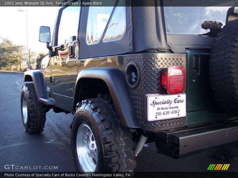 Forest Green / Agate Black 2001 Jeep Wrangler SE 4x4