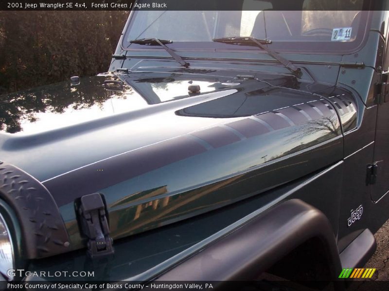 Forest Green / Agate Black 2001 Jeep Wrangler SE 4x4