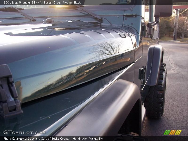 Forest Green / Agate Black 2001 Jeep Wrangler SE 4x4