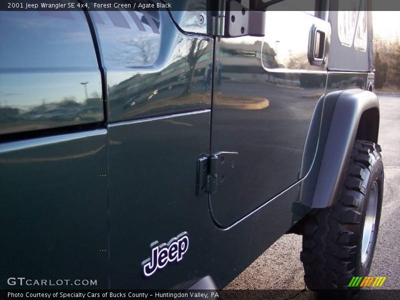 Forest Green / Agate Black 2001 Jeep Wrangler SE 4x4