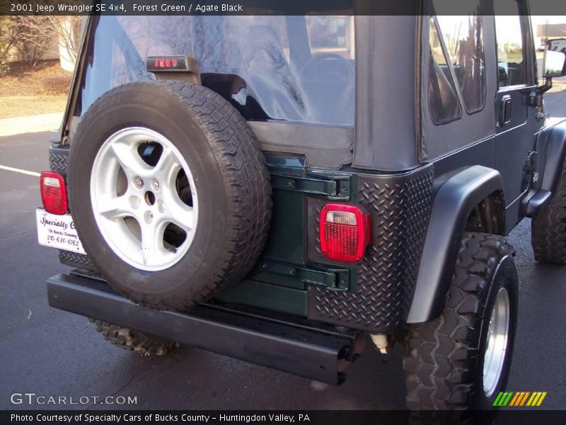 Forest Green / Agate Black 2001 Jeep Wrangler SE 4x4
