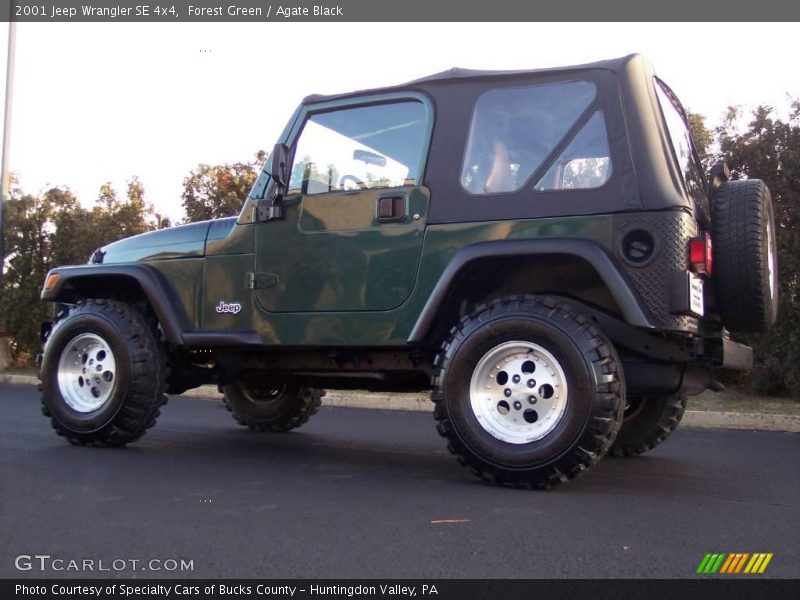 Forest Green / Agate Black 2001 Jeep Wrangler SE 4x4