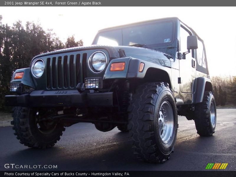 Forest Green / Agate Black 2001 Jeep Wrangler SE 4x4