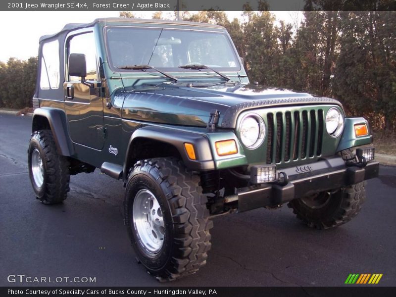 Forest Green / Agate Black 2001 Jeep Wrangler SE 4x4