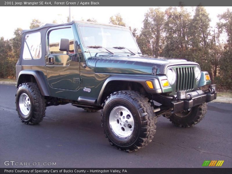 Forest Green / Agate Black 2001 Jeep Wrangler SE 4x4