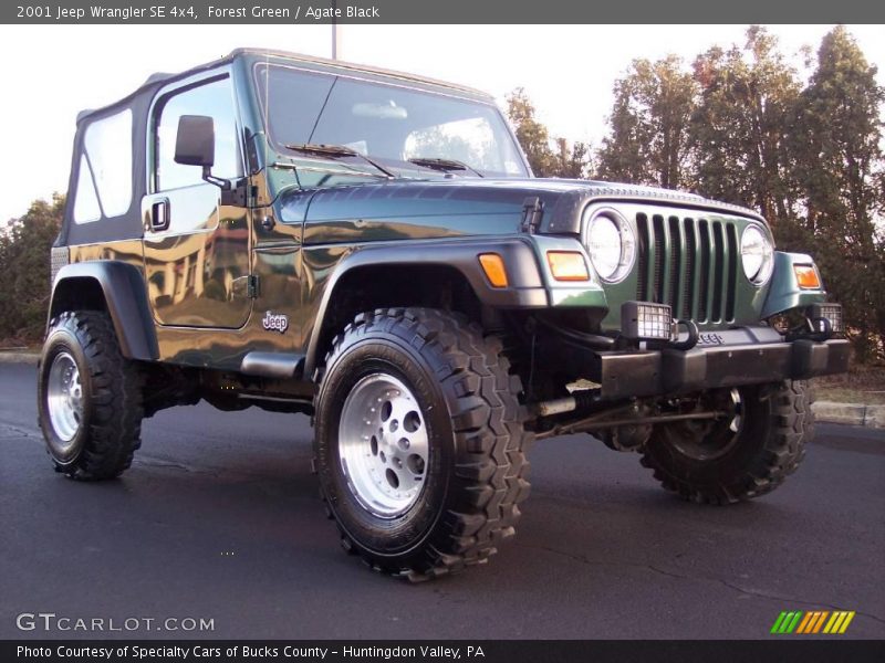 Forest Green / Agate Black 2001 Jeep Wrangler SE 4x4