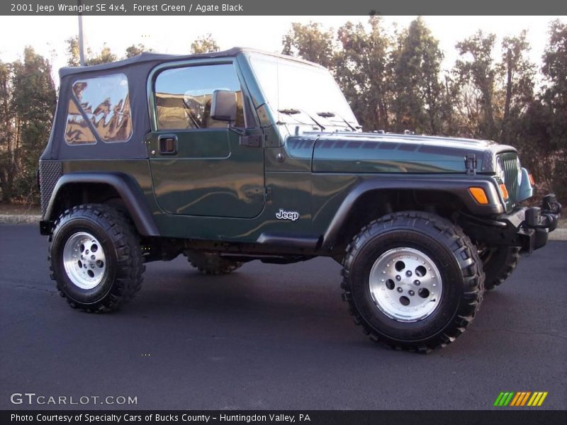 Forest Green / Agate Black 2001 Jeep Wrangler SE 4x4