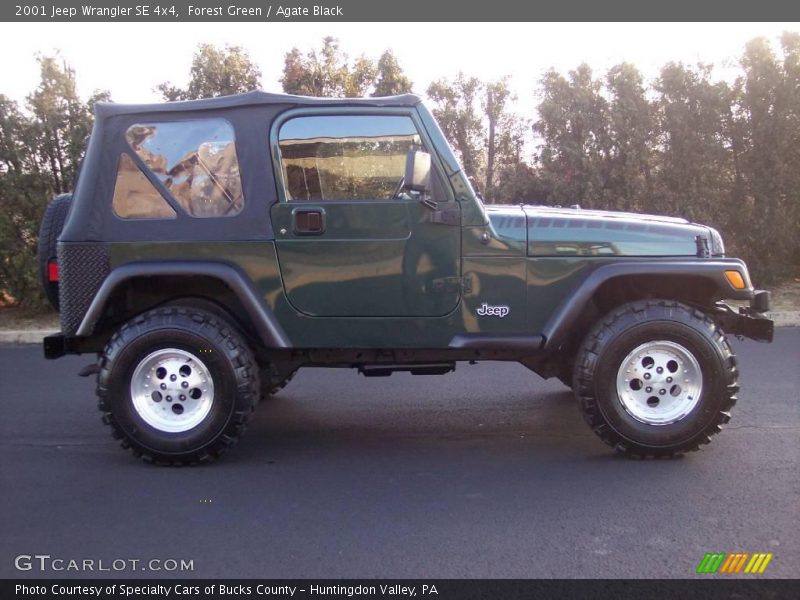 Forest Green / Agate Black 2001 Jeep Wrangler SE 4x4