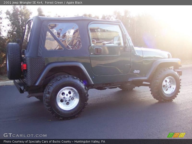 Forest Green / Agate Black 2001 Jeep Wrangler SE 4x4