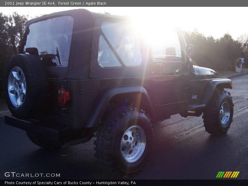 Forest Green / Agate Black 2001 Jeep Wrangler SE 4x4