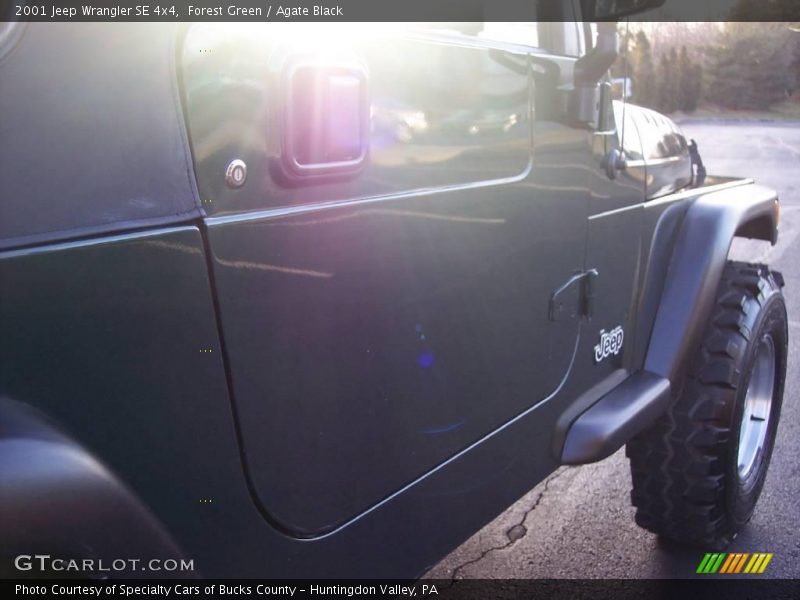 Forest Green / Agate Black 2001 Jeep Wrangler SE 4x4