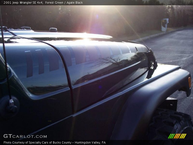 Forest Green / Agate Black 2001 Jeep Wrangler SE 4x4