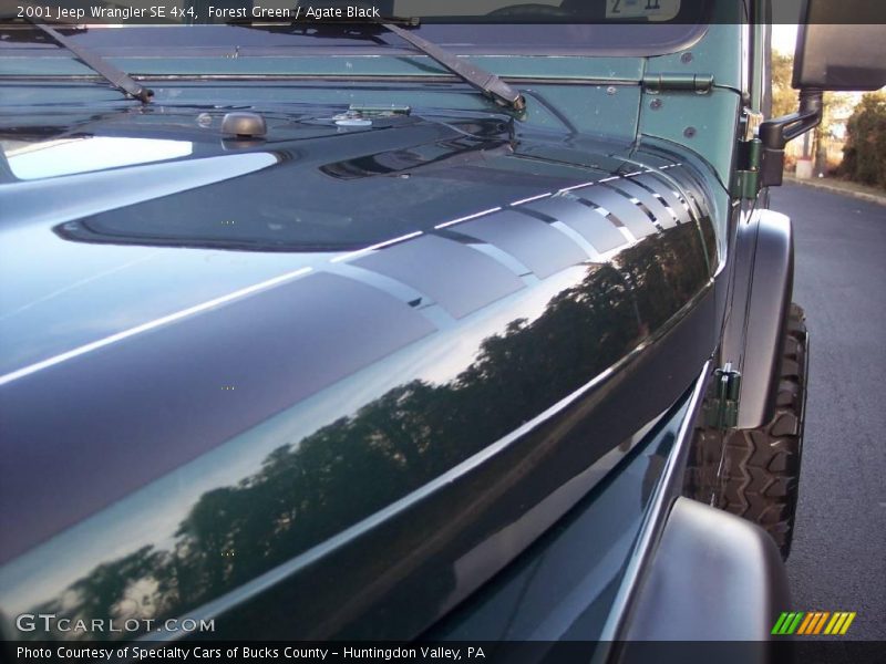 Forest Green / Agate Black 2001 Jeep Wrangler SE 4x4