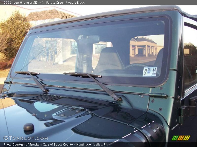 Forest Green / Agate Black 2001 Jeep Wrangler SE 4x4
