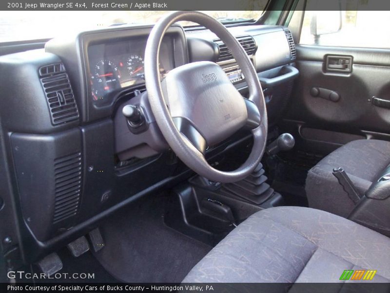 Forest Green / Agate Black 2001 Jeep Wrangler SE 4x4
