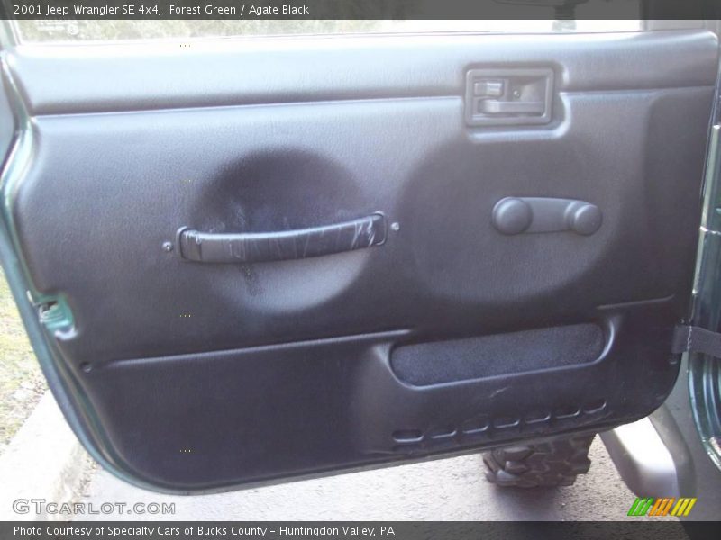 Forest Green / Agate Black 2001 Jeep Wrangler SE 4x4