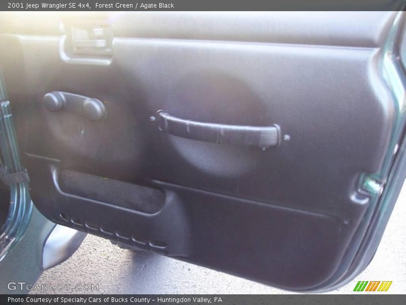 Forest Green / Agate Black 2001 Jeep Wrangler SE 4x4