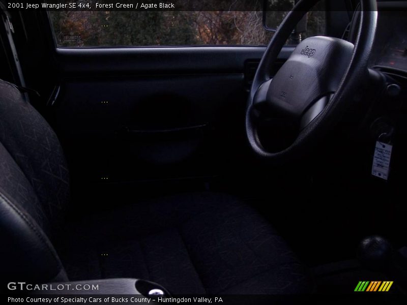 Forest Green / Agate Black 2001 Jeep Wrangler SE 4x4