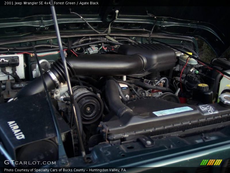Forest Green / Agate Black 2001 Jeep Wrangler SE 4x4